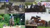 Paris 2024: Australian Eventing Team Gallops Towards Olympic Games with an Impressive Display at a Prestigious Event - Rugby World Cup Tickets | Olympics Tickets | British Open Tickets | Ryder Cup Tickets | Women Football World Cup Tickets | Euro Cup Tickets