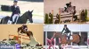 Olympic Paris: Olympic Equestrian Superb Hickstead hat-trick for Carl Hester as his Olympic ride returns for Paris Olympic - Rugby World Cup Tickets | Olympics Tickets | British Open Tickets | Ryder Cup Tickets | Women Football World Cup Tickets