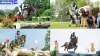 Olympic Paris: American Equestrian Eventer Raises Hopes for Paris Olympic - Rugby World Cup Tickets | Olympics Tickets | British Open Tickets | Ryder Cup Tickets | Women Football World Cup Tickets