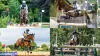 France Olympic: Poland Equestrian Eventing team qualify for Olympic Paris - Rugby World Cup Tickets | Olympics Tickets | British Open Tickets | Ryder Cup Tickets | Women Football World Cup Tickets