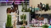 France Olympic: Olympic equestrian eventing Championship Attracts World-Class Athletes for Paris 2024 - Rugby World Cup Tickets | Olympics Tickets | British Open Tickets | Ryder Cup Tickets | Women Football World Cup Tickets