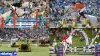 Paris Olympic: Australian Equestrian Eventing Face Funding Issue for Paris 2024 - Rugby World Cup Tickets | Olympics Tickets | British Open Tickets | Ryder Cup Tickets | Women Football World Cup Tickets | Euro Cup Tickets