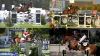 Olympic Paris: Olympic Equestrian Jumping Top riders get ready to take part in Belsay Horse Trials for Preparations of Paris Olympic - Rugby World Cup Tickets | Olympics Tickets | British Open Tickets | Ryder Cup Tickets | Women Football World Cup Tickets
