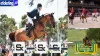 FEI propose Paris 2024 Equestrian Jumping reverts to the traditional Olympic order - Rugby World Cup Tickets | Olympics Tickets | British Open Tickets | Ryder Cup Tickets | Women Football World Cup Tickets