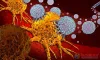   	Oncogenomics for Cancer Treatment in Gurgaon | MDRC India  