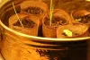 Process: Can I grow onion at home in easy ways?