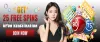 Best online bingo games – a complete guide