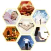 Best Online Astrologer in India | Famous Astrologer Tamil Nadu