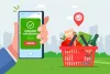 How Can You Find the Best Online Grocery Store in Mumbai?