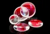 Optical Lens Manufacturers and Suppliers in India: Accurate Optics