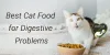 Best Cat Food for Digestive Problems | Our Pet Warehouse