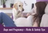 Dogs & Pregnancy | Risks and Safety Tips | Ourpetwarehouse