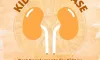 The Best Supplements to Help Manage Kidney Disease