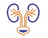 Urology Stone Basket Manufacturers 