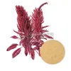 amaranth powder, bulk organic amaranth, amaranth in bulk, amaranth protein powder