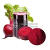 organic beetroot juice powder, bulk organic beetroot juice powder