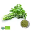 organic celery powder, affordable celery powder, bulk celery powder supplier