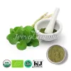 centella asiatica, centella asiatica extract, centella asiatica for skin, products with centella asiatica, centella asiatica powder, centella asiatica extract for skin, centella asiatica extract powder
