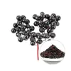 elder berry, black elder berry, elderberry vitamins, elderberry extract, elderberry powder, elderberries whole foods
