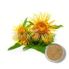elecampane powder, bulk elecampane powder, top elecampane powder