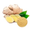 USDA Approved Bulk Organic Ginger Powder Supplier in USA