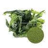 green sea lettuce powder, organic green sea lettuce, green sea lettuce powder Bulk
