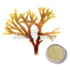 Irish Moss Powder, Organic Irish Moss Powder, Bulk Organic Irish Moss Powder