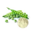 organic pea protein powder, best organic pea protein powder, pea protein powder whole foods, best pea protein powder for muscle building