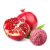 Bulk Organic Pomegranate Juice Powder | Organic Pomegranate Juice Powder Supplier