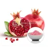 organic pomegranate powde, bulk organic pomegranate powder, organic pomegranate, pomegranate powder