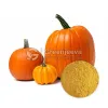 Organic Pumpkin Fruit, Organic Pumpkin Powder, Organic Pumpkin Fruit Powder 