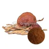 Organic Reishi Mushroom Extract, Top Organic Reishi Powder, Reishi Mushroom Extract