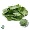 organic spinach powder, bulk organic spinach powder, organic spinach powder supplier