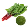 Organic Swiss Chard Powder Supplier | Bulk Organic Swiss Chard Powder Supplier