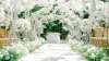 A Step-by-Step Guide to Wedding Photo Editing Snapseed QR Codes