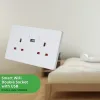 Smart Double Socket with USB