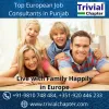 Overseas Job Consultant in Punjab for Europe