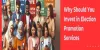 Why Should You Invest in Election Promotion Services