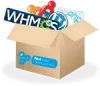 Our Graphic Design Packages | First Web Development
