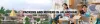 Top Packers and Movers Jalandhar