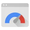 PageSpeed Insights
