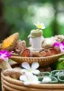 Panchakarma: Science of Ayurvedic Healing and Restoration