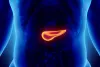 Treatment for Pancreatic Cancer