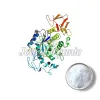 pancreatin porcine powder, pancreatin porcine, bulk pancreatin porcine, enzymes, organic foods, food industry