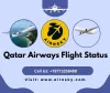 How to Check Qatar Airways Flight Status Online?