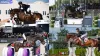 Paris Olympic: Elevate Palm Beach County Competitors at Paris 2024 Equestrian Festival - Euro Cup Tickets | Euro 2024 Tickets | Germany Euro Cup Tickets | Champions League Final Tickets | Six Nations Tickets | Paris 2024 Tickets | Olympics Tickets | Six Nations 2024 Tickets | London New Year Eve Fireworks Tickets