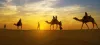 camel safari in jaisalmer - Heritage Taxi Services in Jaisalmer