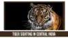 Pench Safari Tariff across Gates | Pench Safari Booking
