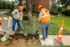 Commercial Concrete Paving Contractors - Dallas and Houston contractors
