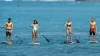 Stand up Paddle Board in NZ